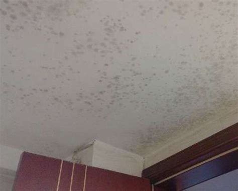天花板霉菌 一樓停車